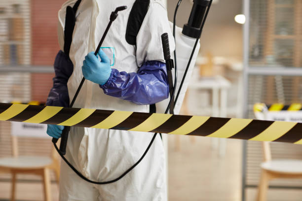 Professional Sewage Cleanup technician working in Paris, TN
